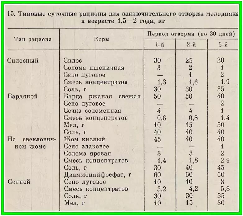 Можно давать коровам овес