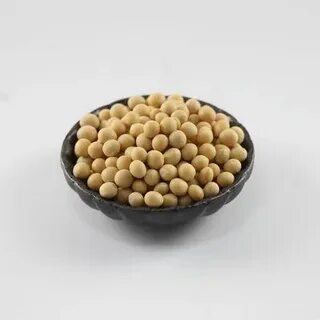 Soybeans Phytosterol Market