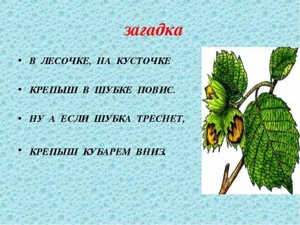 Отгадай загадку маленький мужичок шубка деревянная