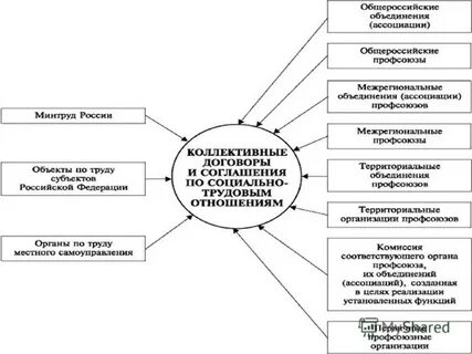Регулирование социально трудовых отношений профсоюзы