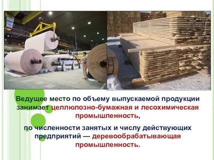 Какую продукцию выпускает лесная промышленность