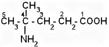 2 Метил 2 аминопентановая кислота. 4 Метил Амино пентановая кислота. 2 Аминопентановая кислота формула. 4 Аминопентановая кислота формула. 2 метилпентановая кислота формула