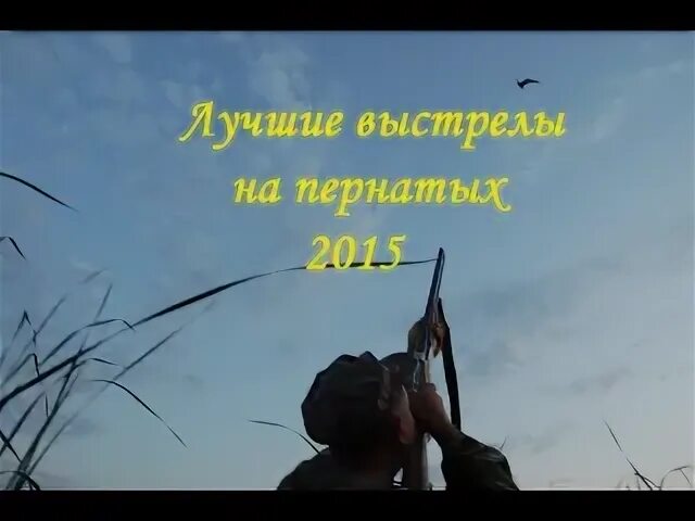 Лучше выстрелы