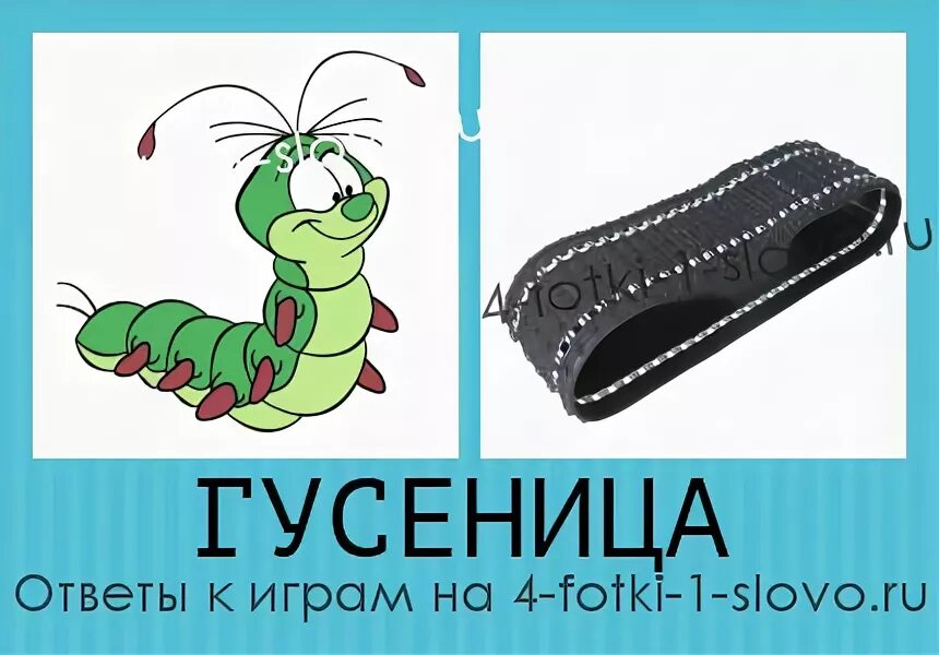 Гусеница значение. Гусеница омоним. гусеница со словами. гусеница словарное слово.
