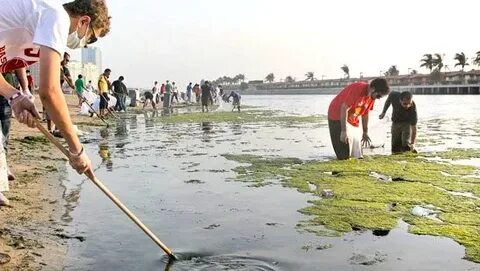 The environment be much cleaner