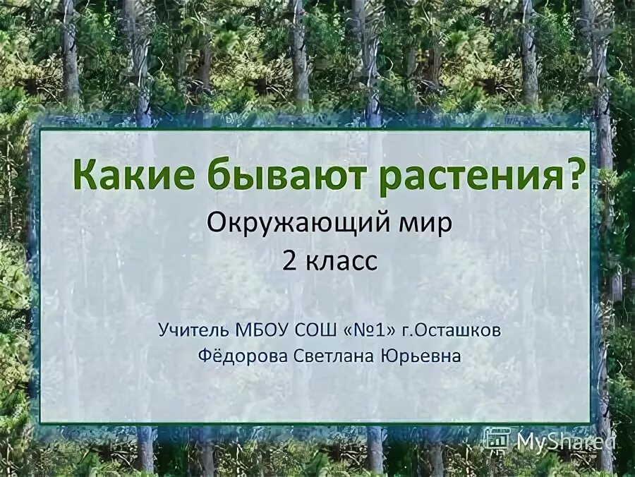 Какие бывают растения окружающий мир 2 класс