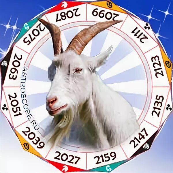 300 год какого животного. Год козы. Год козы знак. Год козы 2027. Коза по восточному календарю.