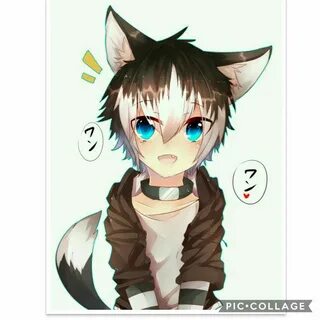Anime boy with wolf ears and tail