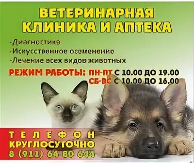 Vetlife ветеринарная клиника. ветклиника максим балашиха. барбоскин котлас ветлечебница. барбоскин котлас ветлечебница. секонд хенд котлас.