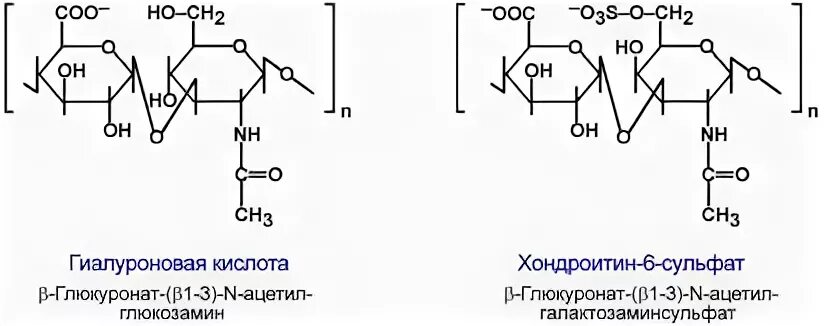Хондроитин 4 сульфат строение. Хондроитин сульфат 4 и 6. Хондроитин 6 сульфат. Хондроитин 4 сульфат строение. Хондроитин сульфат формула биохимия.