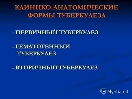 Анатомия туберкулеза