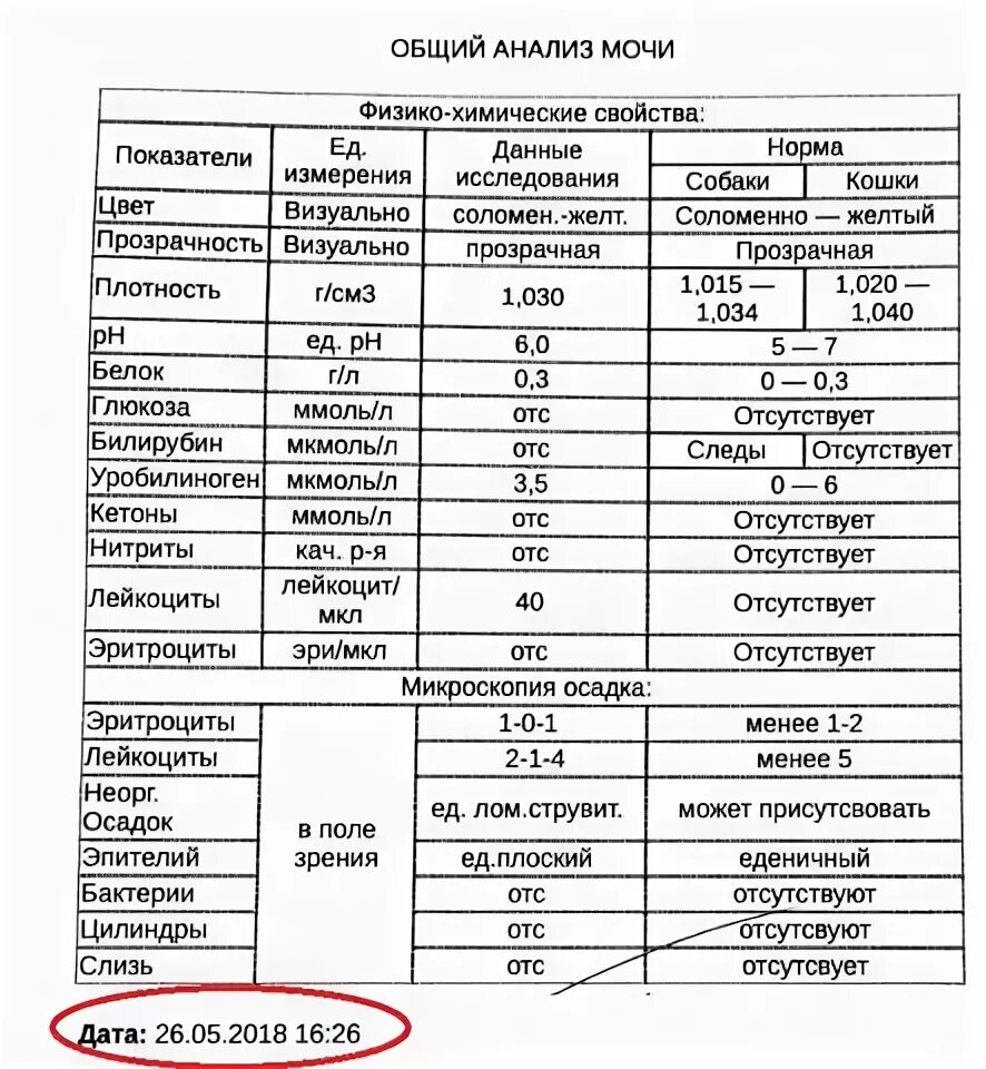 Анализ мочи норма у мужчин по возрасту. Анализ мочи норма у детей 6 лет. Расшифровка анализа мочи у детей таблица. Анализ мочи расшифровка у детей 7 лет норма в таблице. Физико-химические свойства мочи расшифровка норма.