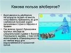 Почему айсберги не тонут физика. Буксировка айсбергов для получения пресной воды. Польза айсбергов. Проект буксировки айсбергов. Айсберг для презентации.