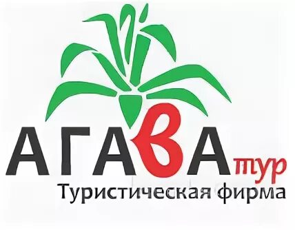 Агава екатеринбург сайт. Агава тур. Агава магазин. Агава группа. Магазин Агава Чита.