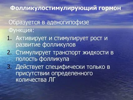 Фолликул стимулирующий гормон