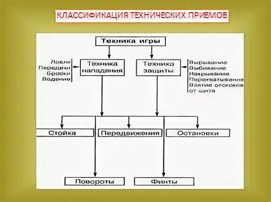 Этапы обучения техники игры в баскетбол. Этапы обучения техники игры в баскетбол. Классификация тактики игры в гандбол. Этапы обучения техники игры в баскетбол. Техники в баскетболе.