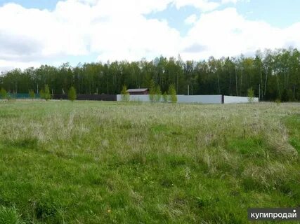 Москва погода новофедоровское поселение деревня