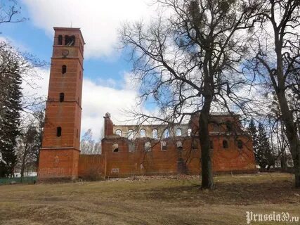 Залесье калининградская область
