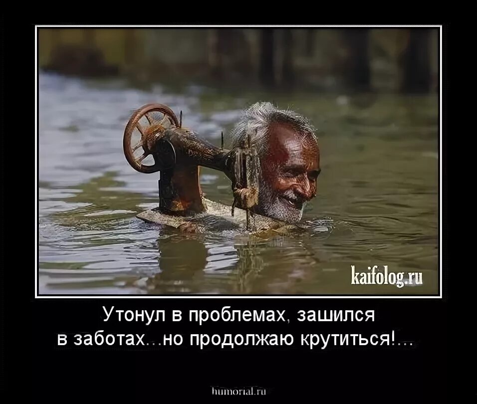 Зашиваюсь. Зашиваюсь мем. станешь нашим королем. оставайся с нами будешь нашим королем.