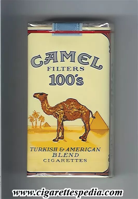 Camel compact 100 фильтр. Кэмел компакт 100. camel 100 сигареты. сигареты camel 100s. camel filters 100&#039;s.