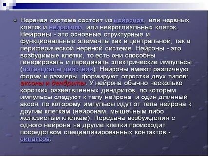 Значение нервной системы у животных