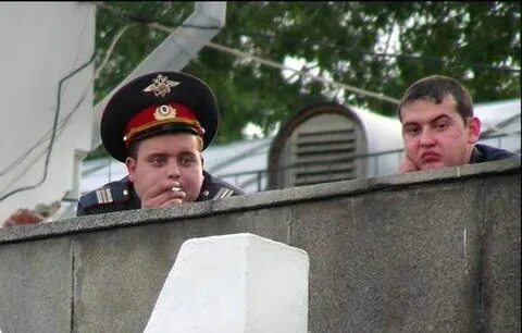 Филолог в засаде