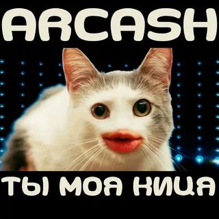 Киса и ти
