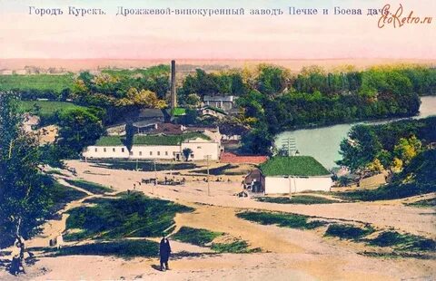 Курские боевы