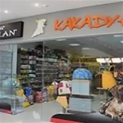 Какаду могилев