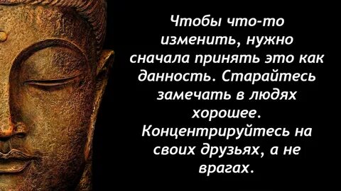 12 законов жизни