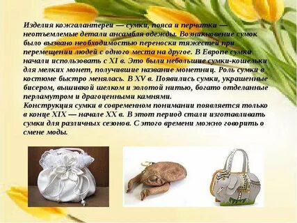 Проект по технологии сумка