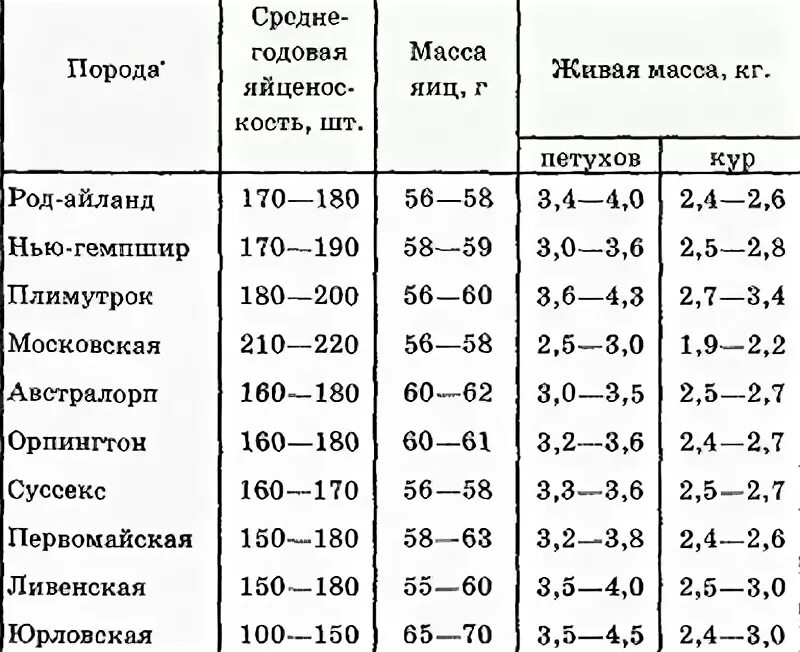 Самые яйценосные куры