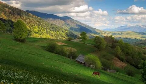 Карпатая