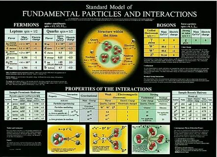 Elementary particles