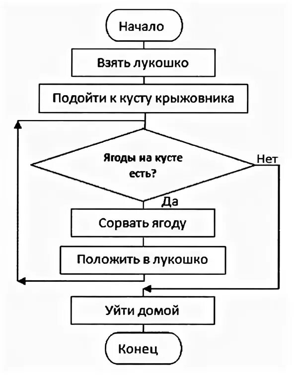 Контрольная работа по теме "Основы алгоритмизации" 9 класс