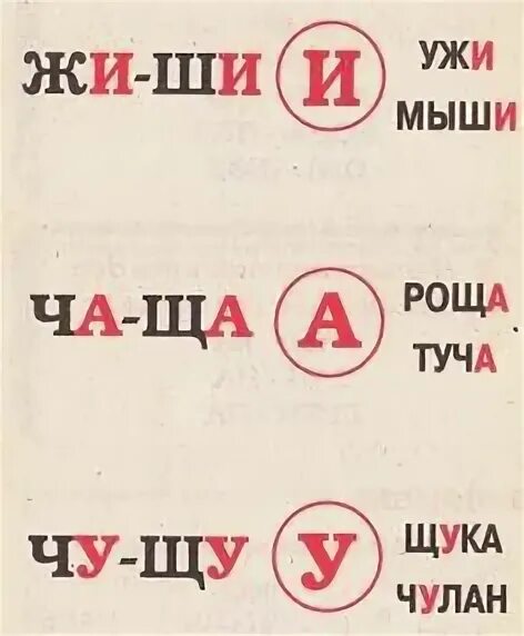 Жи ши проект 2 класс скачать