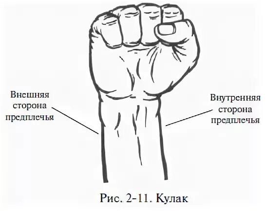 Внутренняя сторона что это