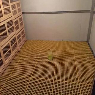 Решетчатое поле