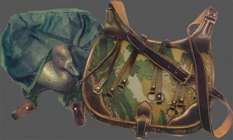 Дичь сканворд