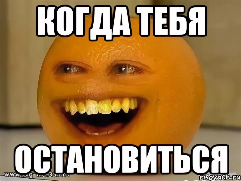 Остановиться переночевать. Апельсин Мем. Остановись мемы. Останавливает Мем. Остановите мемы.