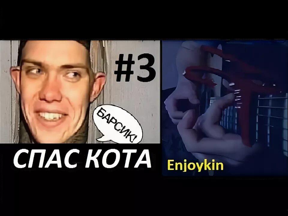 Песня спас кота. Песня спас кота