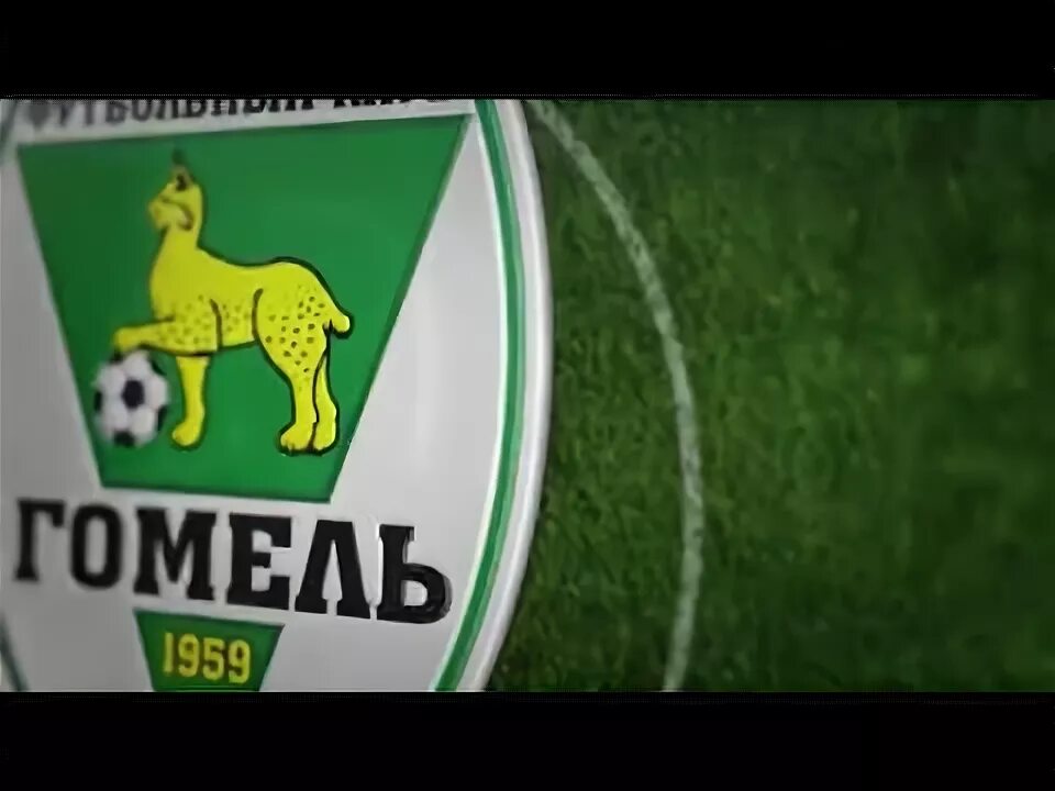 Фк гомель расписание. Гомсельмаш гомель футбольный клуб. Как назвать программу фк. Гомсельмаш гомель футбольный клуб. Фк гомель расписание.