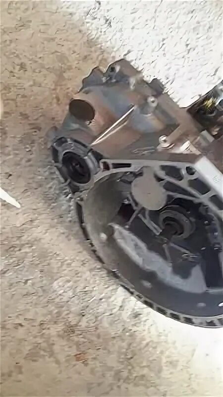 ркпп вортекс тинго