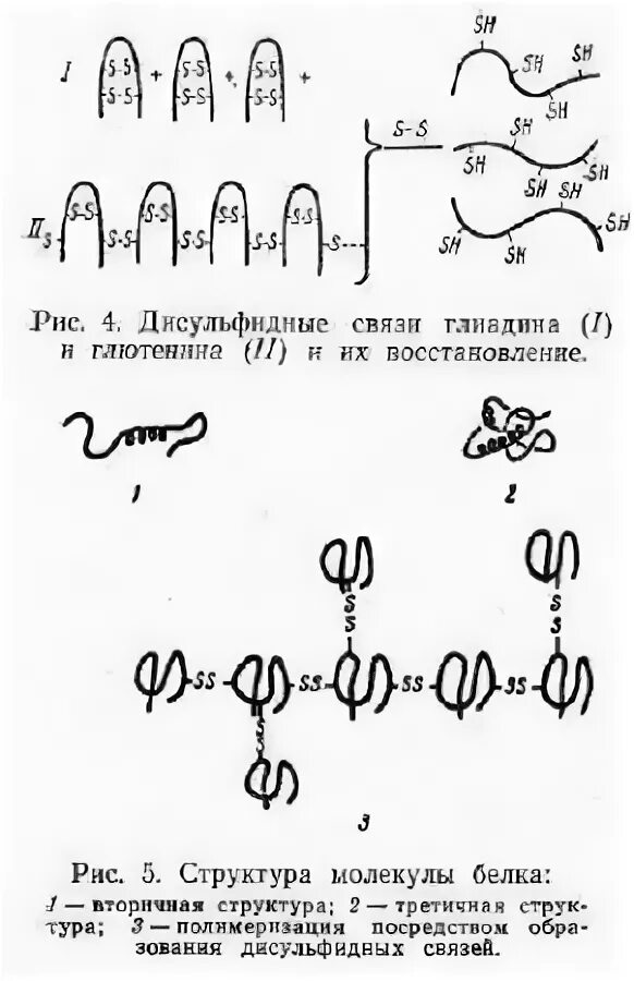 Химия белков тесты