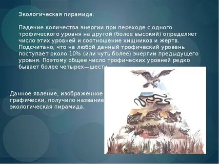 Уровня на высокий уровень перешли