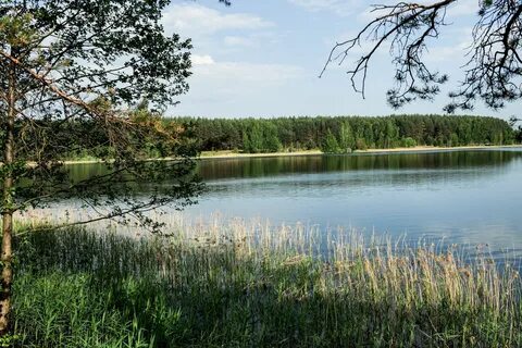 Белой рязанская область