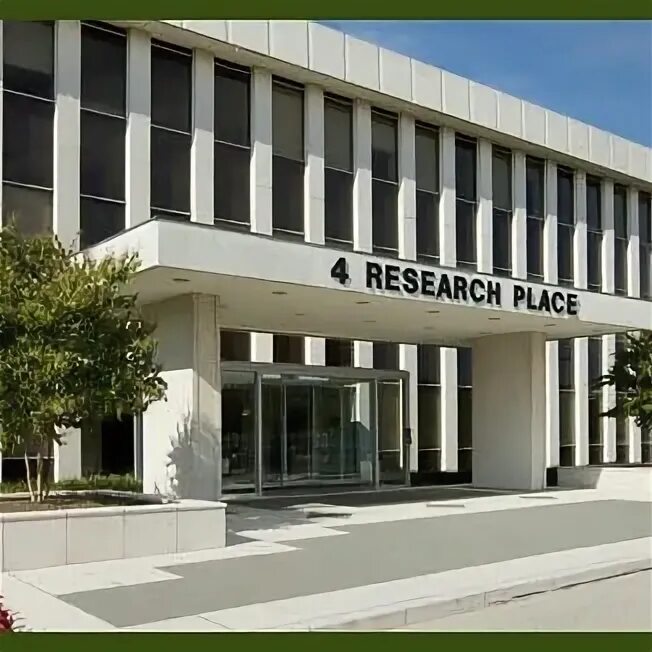 Strayer university. Strayer university