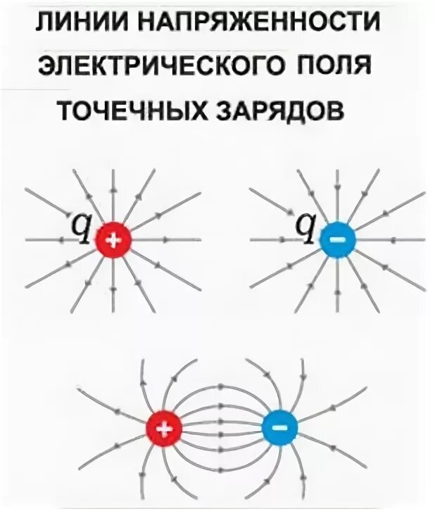 Изобразить линии напряженности точечного положительного заряда