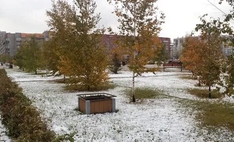 Потепление в красноярске