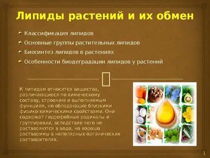 Углеводы и липиды растительной клетки